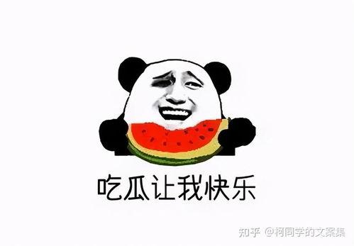 吃瓜的都是真的吗,真相还是谣言？  第1张